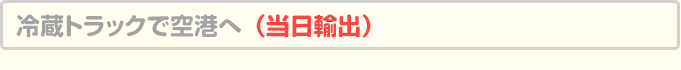 冷蔵トラックで空港へ